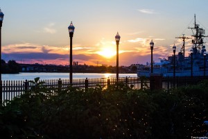 Trotography Nature 1