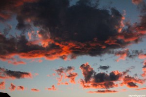 Trotography Nature 2