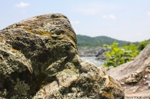 Trotography Nature 3