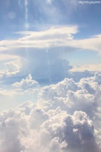 Trotography Nature 4