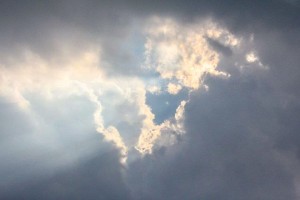 Trotography Nature 8